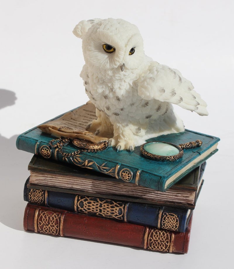 US 4.75 Inch Snow Owl Flap Wings on Books Trinket Box, White Color - Image 4